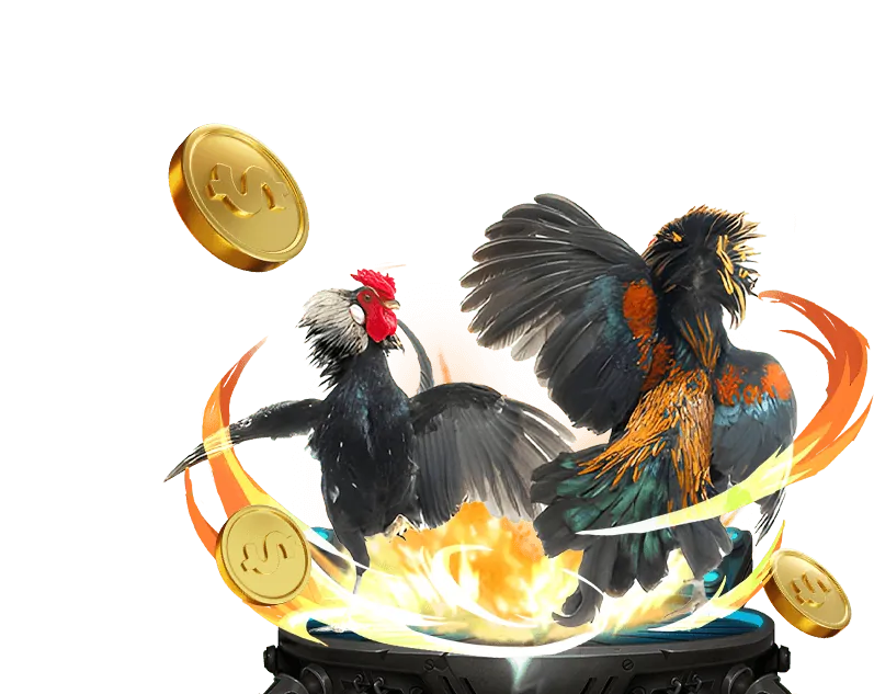 Các loại kèo cược đá gà phổ biến trên nền tảng casino trực tuyến